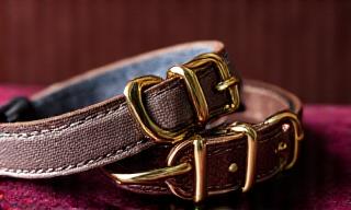 Colliers design de luxe